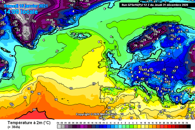 gfs-9-384
