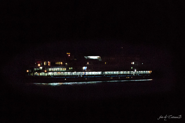 DSC-8694