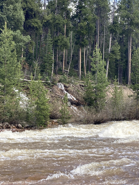 IMG-2514