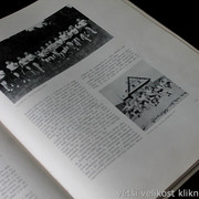 IMG-5537
