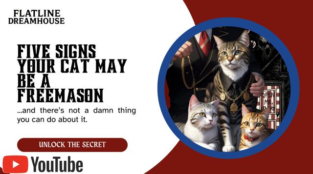cat_freemason