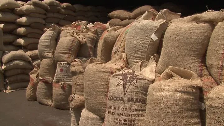 Illustration - Fuite massive de cacao vers le Ghana : Abidjan verrouille la frontière