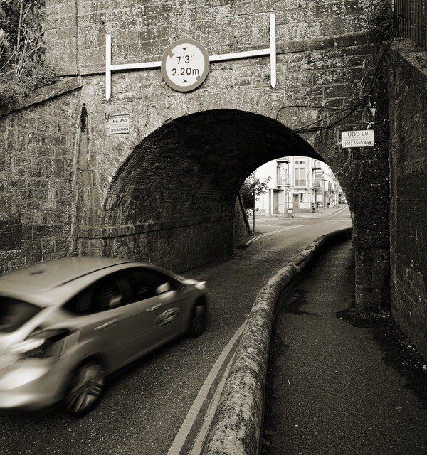 IMGP8214sq.jpg