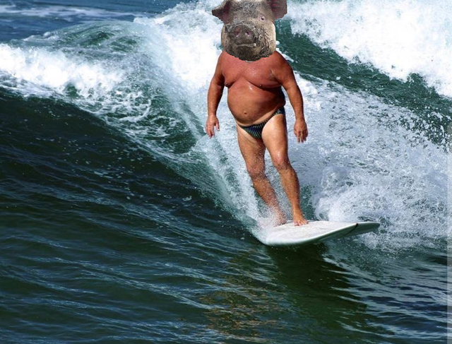 pig-surfer