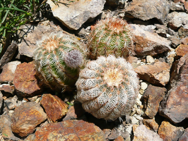 P1230948