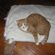 IMG-6134
