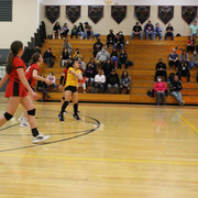 IMG-0292