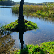 IMG20210926112827