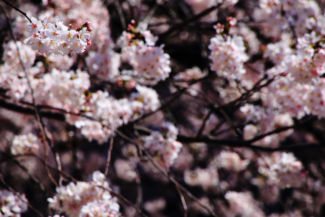 20150409212323f86