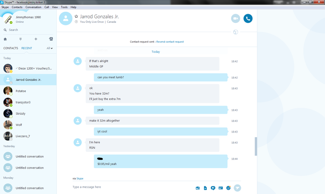 protector skype 3