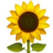 sunflower-1f33b