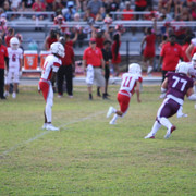 IMG-2216