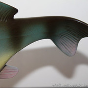 IMG-7884