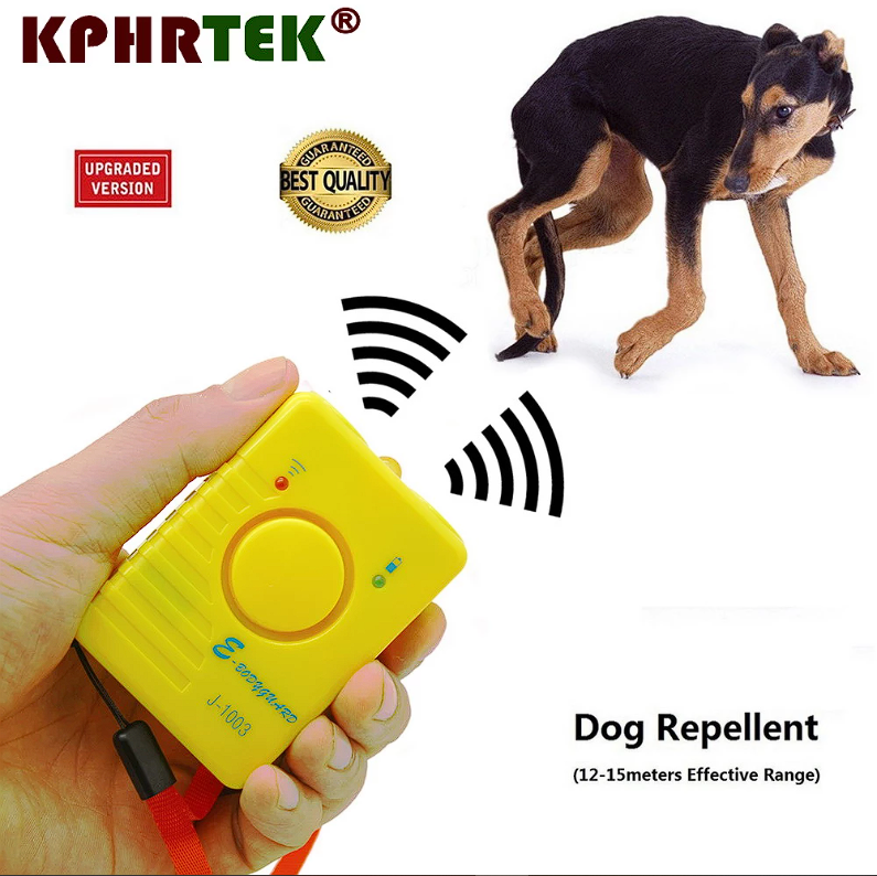 dogr.png