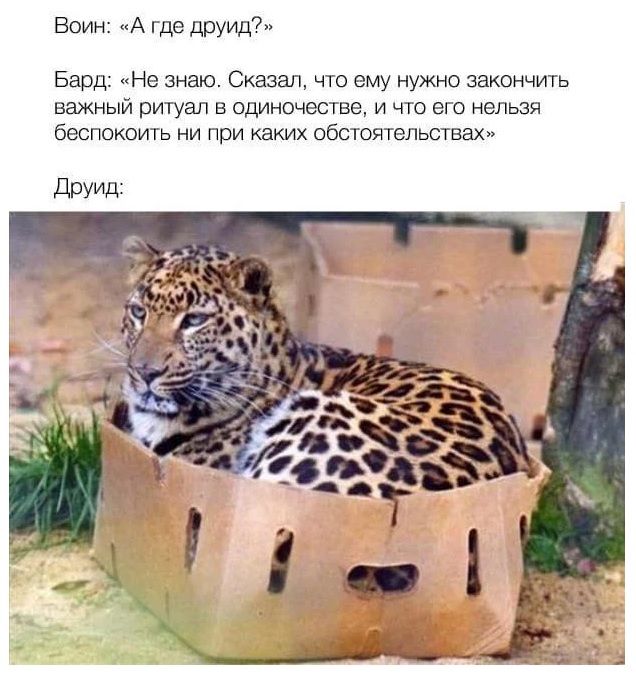 spacer.png