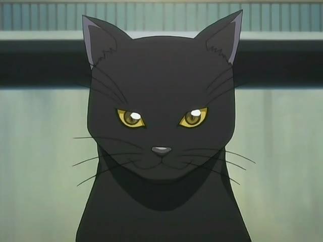 Yoruichi-s-Cat-Form.jpg