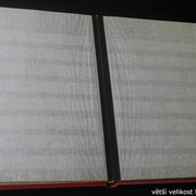 IMG-3373