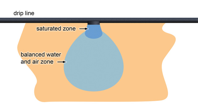 Typical-drip-soil-wetting-pattern