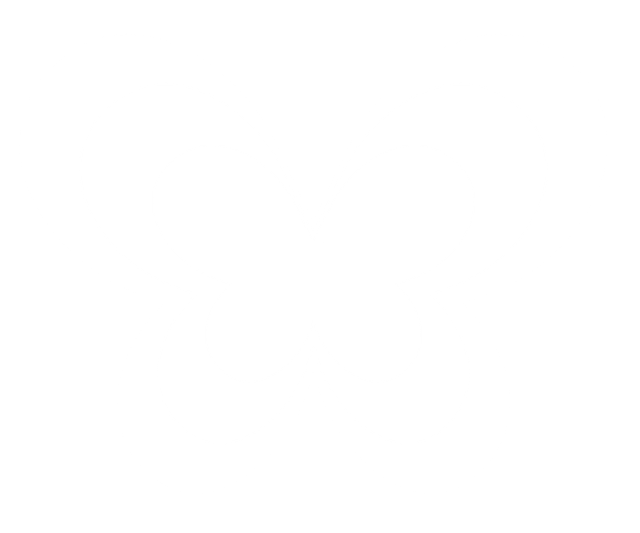 mariposa-recurso.png