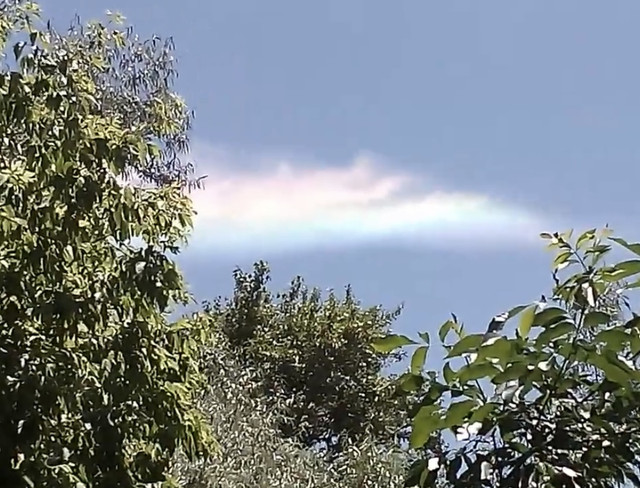 IMG-6507