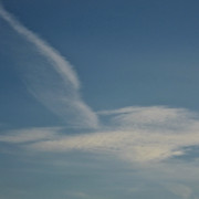 IMG-7813-5