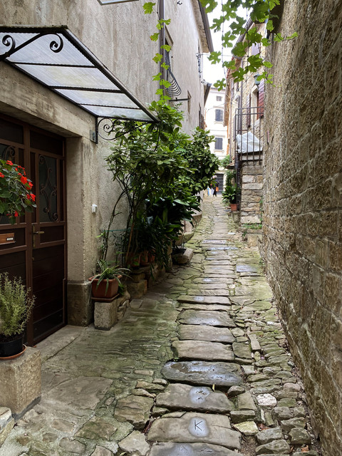 IMG-1801.jpg