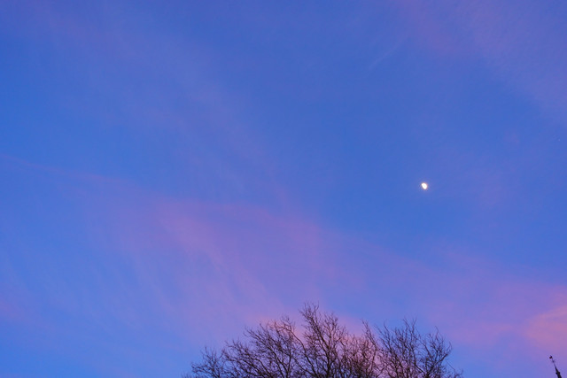 DSC09937.jpg