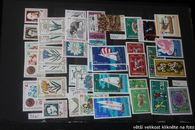 IMG-2447.jpg