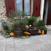 IMG-2244