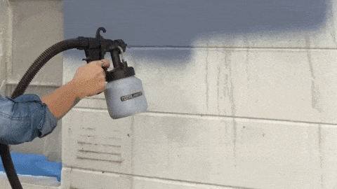 Giphy-downsized-large