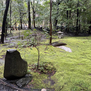 IMG-2806