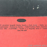 IMG-0229