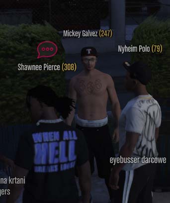 ss9.jpg