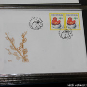 IMG-2596