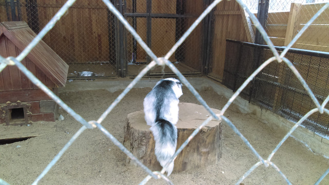 IMAG0565