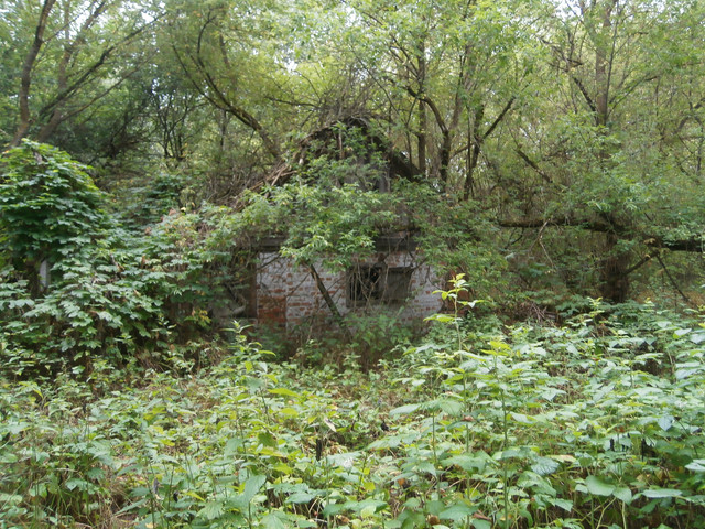 OLYMPUS-DIGITAL-CAMERA.jpg