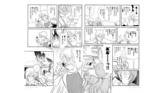 DLRAW-NET-Net-07