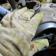 IMG-8364