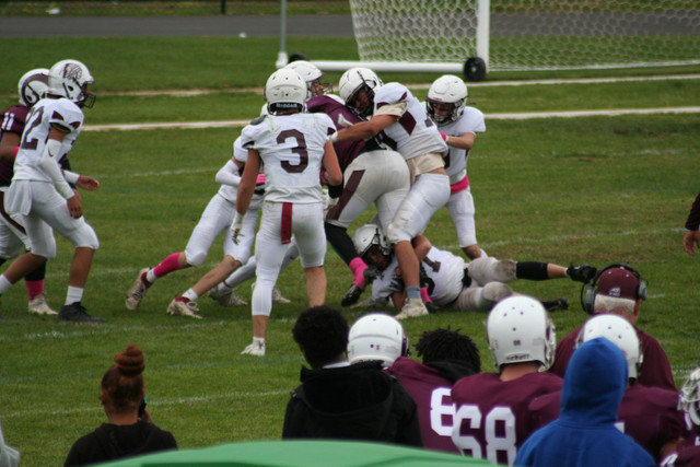 IMG-0733.jpg