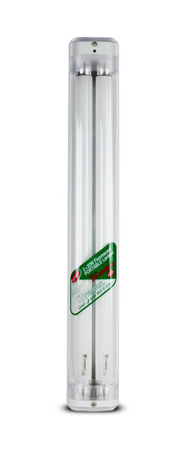 BINA401-1