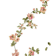 shutterstock 1661866816