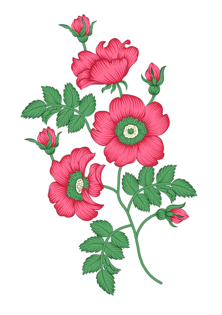 a8b5221f39f0a43d740544bb2ffa5240.png