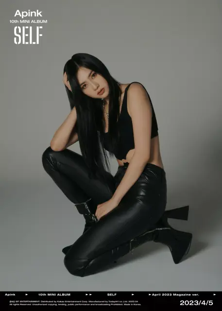 ha young apink 1253949.webp