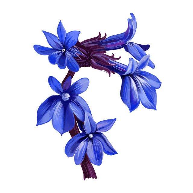 shutterstock 1958943961.jpg
