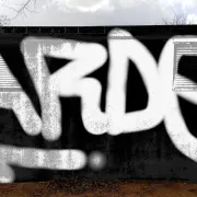 Graffiti artwork by ardeone