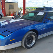 Firebird Blue
