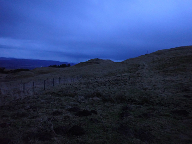 P2080417.jpg