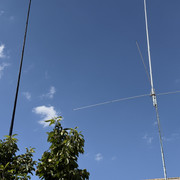 IMG 7481