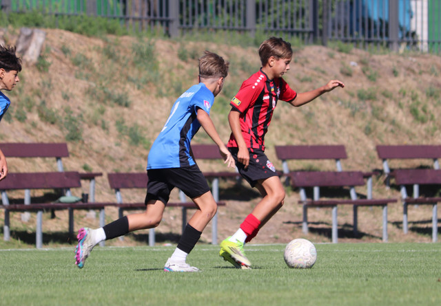 IMG-0224
