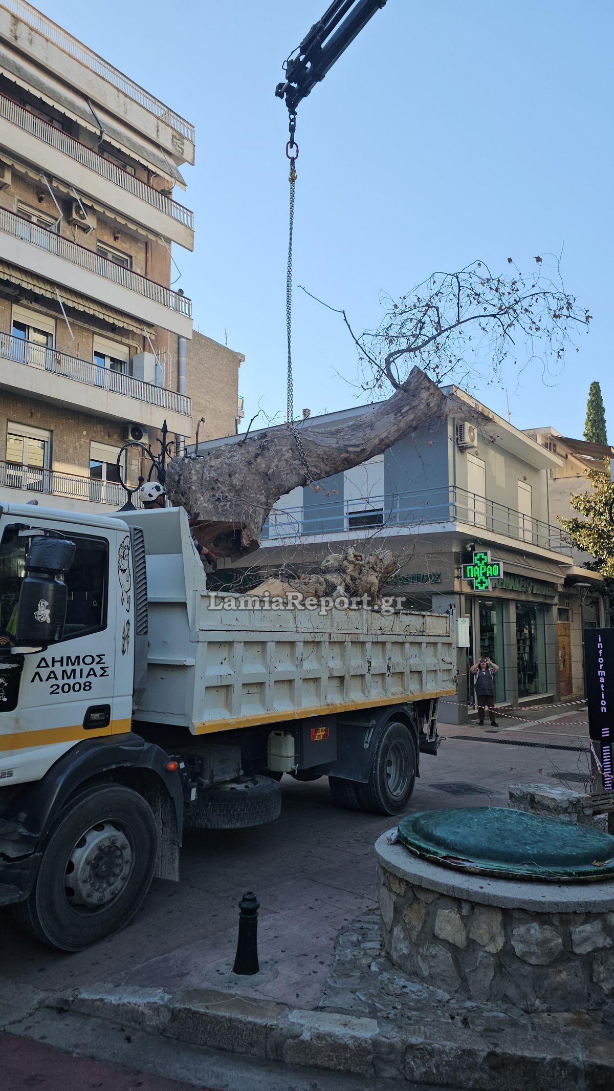 Δεντρο πλατεια Λαου017